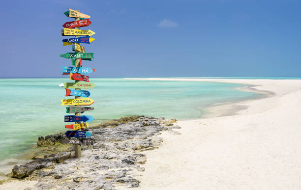From Manual to Digital: The Rise of B2B Travel Booking Platforms